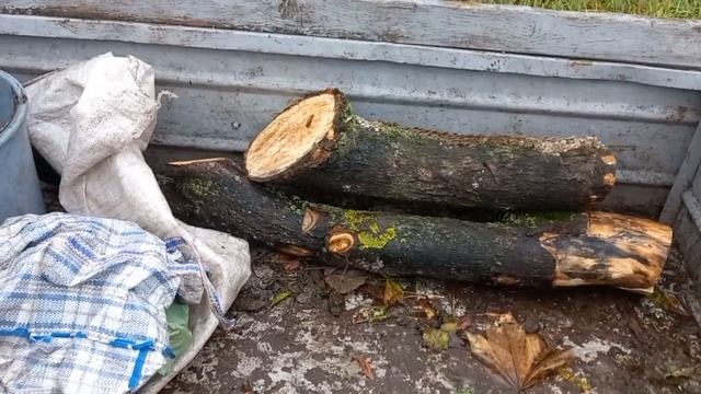 ПОЇЗКА МОТОБЛОКОМ ПО ГРИБИ смотреть онлайн