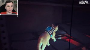 ВСЕ ВОСПОМИНАНИЯ В МИДТАУН ► STRAY