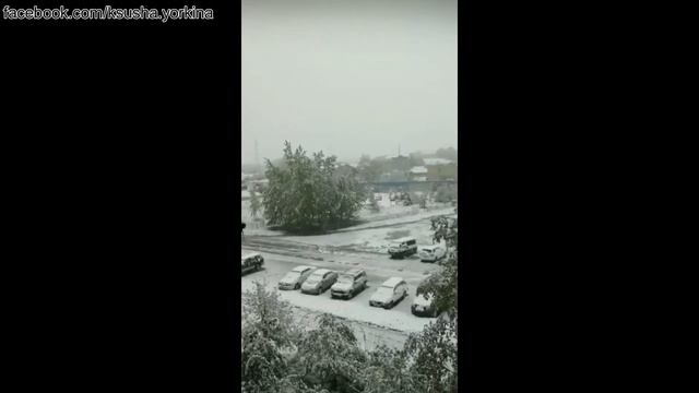 Июньский снегопад на Камчатке смотреть онлайн