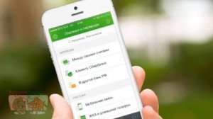 Как узнать баланс карты Сбербанка. Основные методы