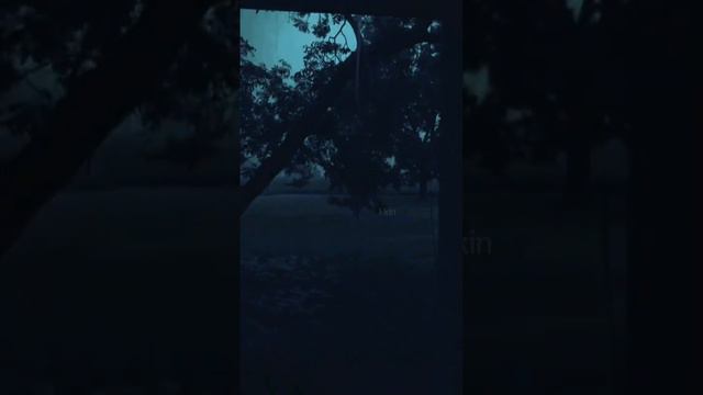 без тебя догорел мой рай смотреть онлайн