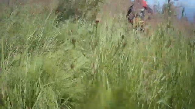 НА БУЙНЫЙ!(разминка перед заездом) смотреть онлайн