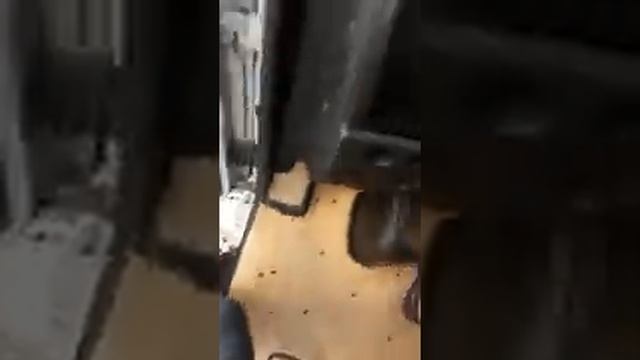 Axor detaylı tanıtım (webasto) ne işe yarar смотреть онлайн