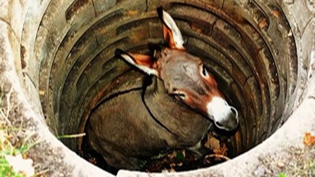 ПРИТЧА о проблемах - " Осел в яме " ( читает Артём Панарин ) смотреть онлайн