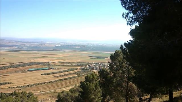 Леса Израиля / יער עמינדב/ Woods Of Israel