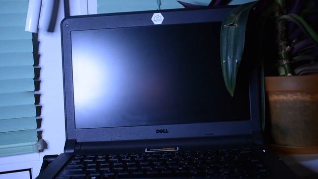 НЕ ПОКУПАЙ DELL! | ПОЧЕМУ НОУТБУКИ DELL - НЕ ЛУЧШИЙ ВЫБОР? смотреть онлайн