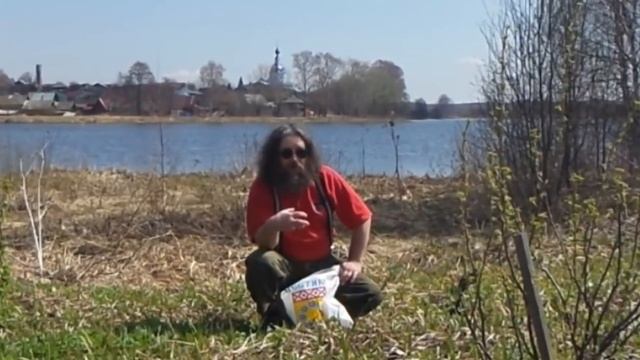 Сныть для мужчин и мужской суп из сныти