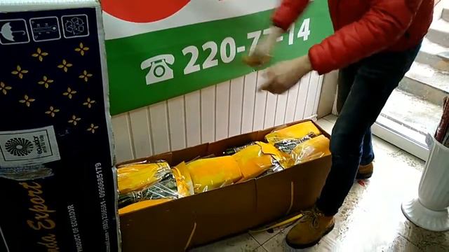 Свежее поступление цветов смотреть онлайн