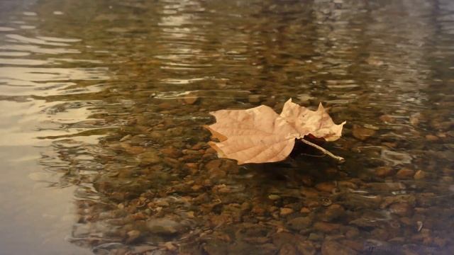 Благослови меня /стихотворение Татьяны Снежиной/ смотреть онлайн