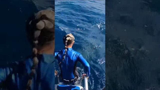 Мальдивы. Maldives. 马尔代夫。 смотреть онлайн