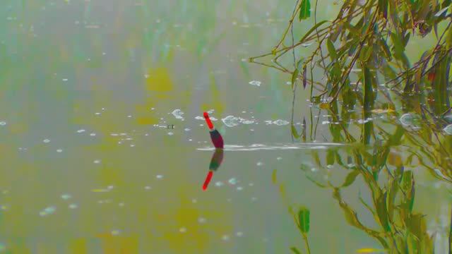 КРАСИВЫЕ ПОКЛЕВКИ на поплавок.fishing. Видео c моих съемок рыбалок. рыбалка- как вижу ее я ! смотреть онлайн