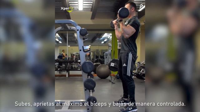 Biceps.- Curl con barra смотреть онлайн