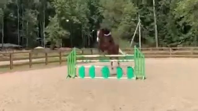 Пони-спорт Планерная, МАОУ ДО, детско-юношеская спортивная школа по конному спорту, Планерная смотреть онлайн