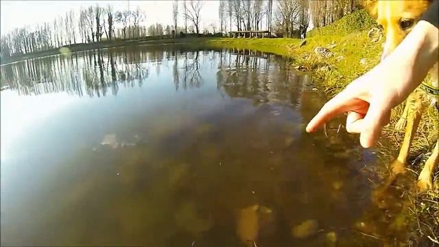 GoPro Hero 3 Black ED. laghetto peschiera borromeo (MI) смотреть онлайн