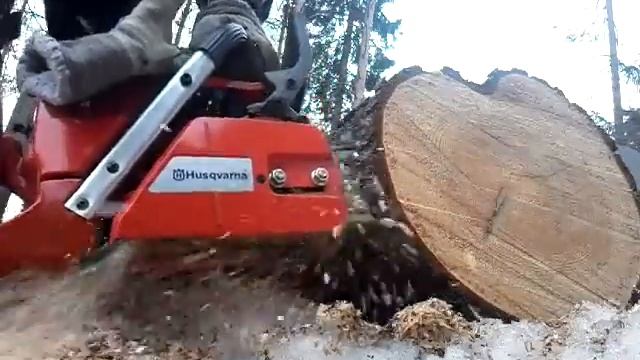Husqvarna 365 смотреть онлайн
