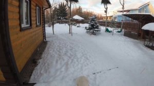 КАК БЫСТРО приучить щенка к вольеру ? || АЛАБАЙ И ВОЛЬЕР || ЩЕНОК || PUPPY || ALABAI || DOG ||