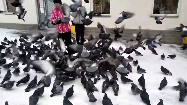 Голубь птица божья. С Рождеством христовым. смотреть онлайн