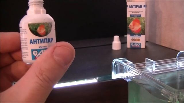 Новые аквариумные рыбки Профилактика перед заселением в общий аквариум смотреть онлайн