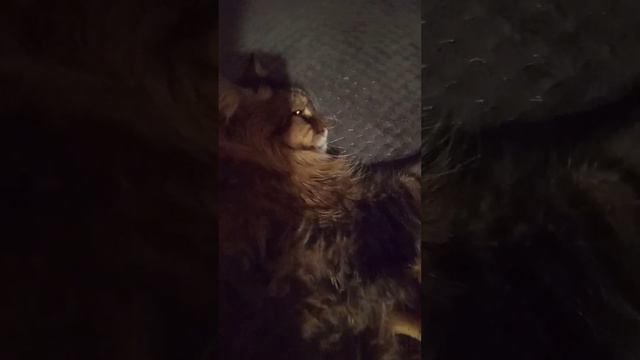 кому жить хорошо? смотреть онлайн