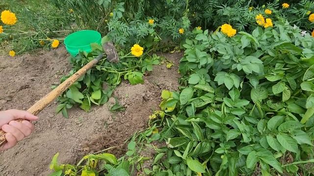 САМЫЙ ЛУЧШИЙ СОСЕД В МИРЕ / СЕЛЬСКАЯ ЖИЗНЬ В АМЕРИКЕ / ДОМАШНЯЯ КОЛБАСА ИЗ ГОВЯДИНЫ смотреть онлайн