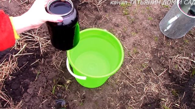 ПОДКОРМКА ЧЕСНОКА ВЕСНОЙ смотреть онлайн