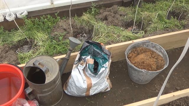 Мои секреты высадки томатов в разные теплицы после сидератов. Опоры для томатов и что положу в лунк смотреть онлайн