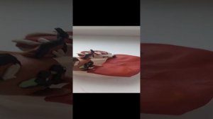 шлёпа и его друзья - опять в школу 5 серия 1 сезон