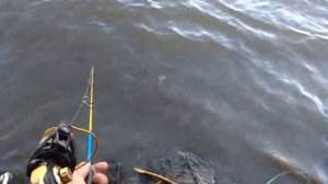 Рыбалка на Оби Барнаул , ловим хищную рыбу