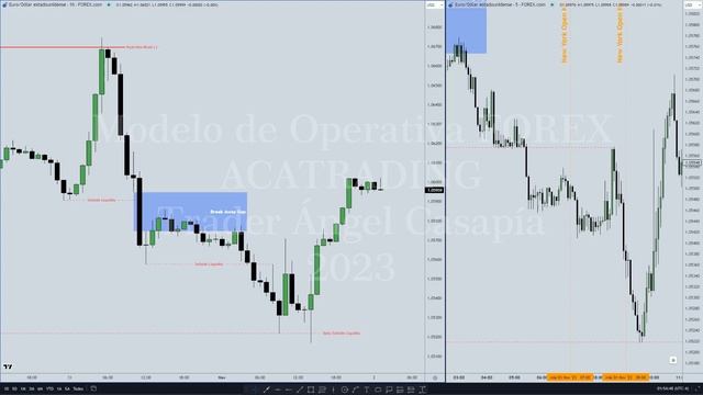 High Resistance Liquidity Run \ New York Kill Zone + Break Away Gap [01-11-2023] | ACATRADING смотреть онлайн