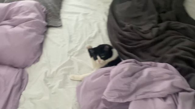 МЫ ЗАСРАЛИ КВАРТИРУ ЗА 6 МЕСЯЦЕВ ЖИЗНИ В НЕЙ. ТЕПЕРЬ НЕ ОТМЫТЬ ПОСЛЕ НАС... смотреть онлайн