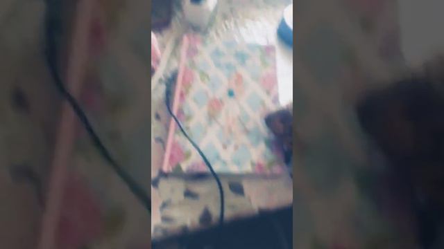 Бабушкин дом