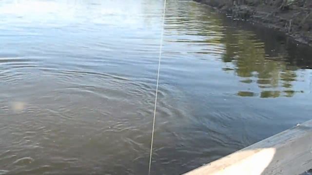 Рыбалка на Ахтубе в июне на вытеках смотреть онлайн