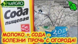 ГОРАЗДО ЛУЧШЕ БОРДОСКОЙ и 30+! ВЕСЕННЕЕ ОПРЫСКИВАНИЕ САДА: деревьев, кустарников, земляники и роз.