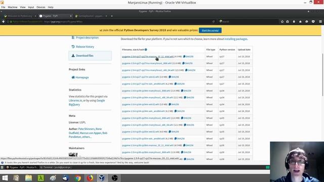 0. Pygame Installation смотреть онлайн