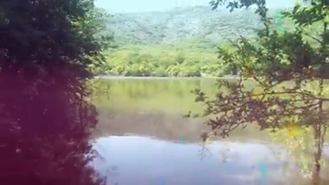 Байдарская долина. Прогулка по лесу. смотреть онлайн