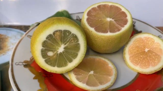 Лимон Эврика розовый пестролистный Eureka Pink Variegata