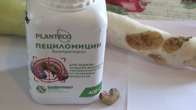 МОИ методы БОРЬБЫ с личинкой майского жука смотреть онлайн