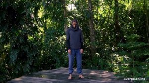 Практика СИНГ ШЕН ДЖУАН