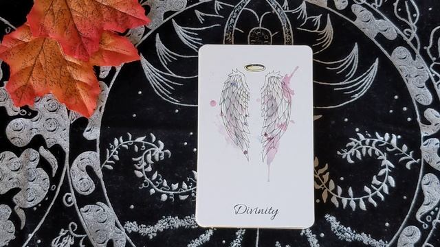 When my soul whispered Oracle - Melissa Selvaggio , Jess O'Connor - U.S. Games Full flip through смотреть онлайн