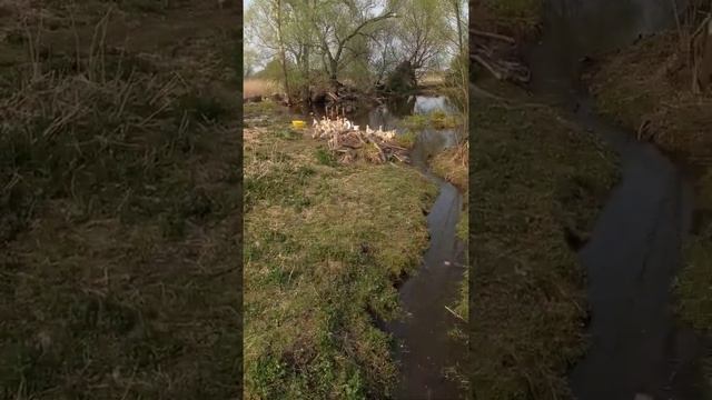 Материнский инстинкт... смотреть онлайн