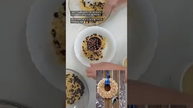 Кормушка для птиц своими руками ????? смотреть онлайн