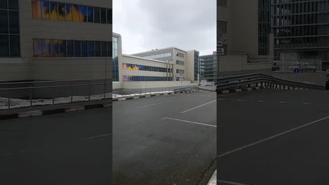 Аэропорт Домодедово 19.03.2021 смотреть онлайн