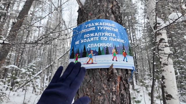 Нашли старую избушку в лесу. Рождественские чудеса, или поворот не туда! смотреть онлайн