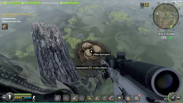 Крокодилья Яйца новый квест Will to Live смотреть онлайн