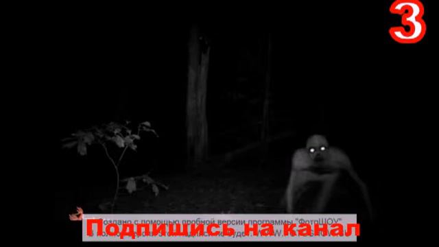 || AdeKvAt || Топ 5 страшных существ снятые в реальной жизни. смотреть онлайн