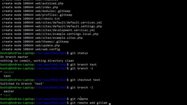 Drupal Install with Composer and Git смотреть онлайн