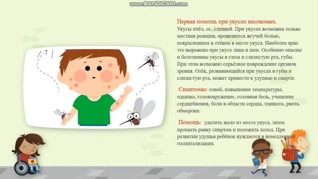Занятие по теме "Основные приемы оказания первой доврачебной помощи" смотреть онлайн