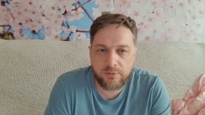 Как перевезти кота в самолете? Подробная инструкция