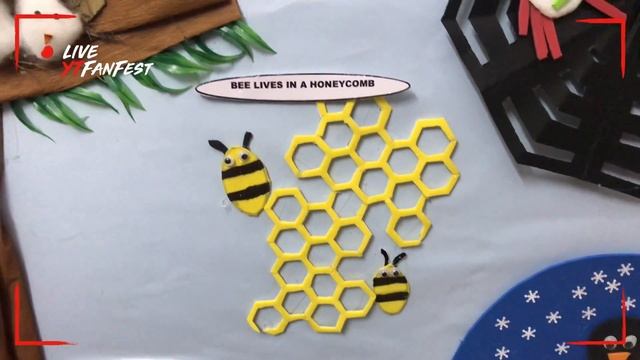 Homes of animals| My School Project | My daughter смотреть онлайн