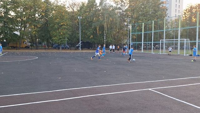 тренировки по будням смотреть онлайн